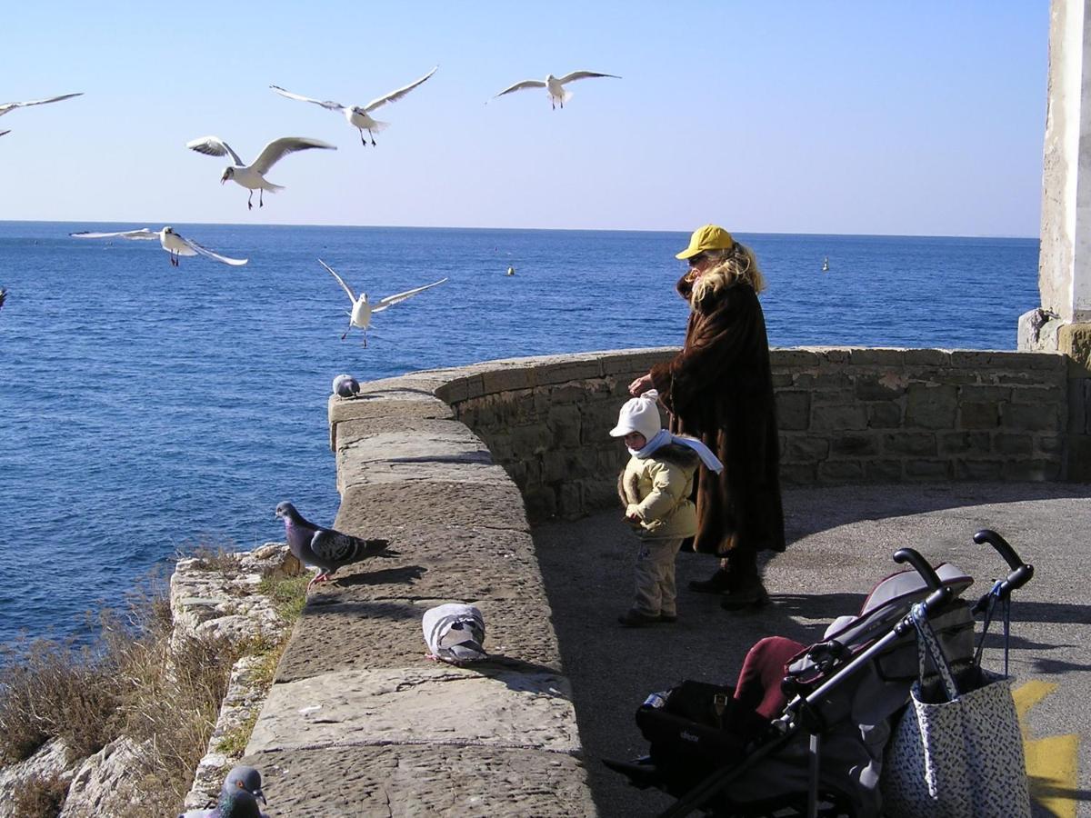 La Mansarda Delle Meraviglie B&B Superior Trieste Exteriör bild